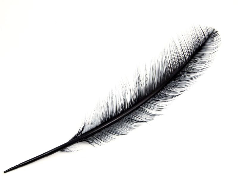 Burnt Turkey Quill Feather (Pack of 5)
