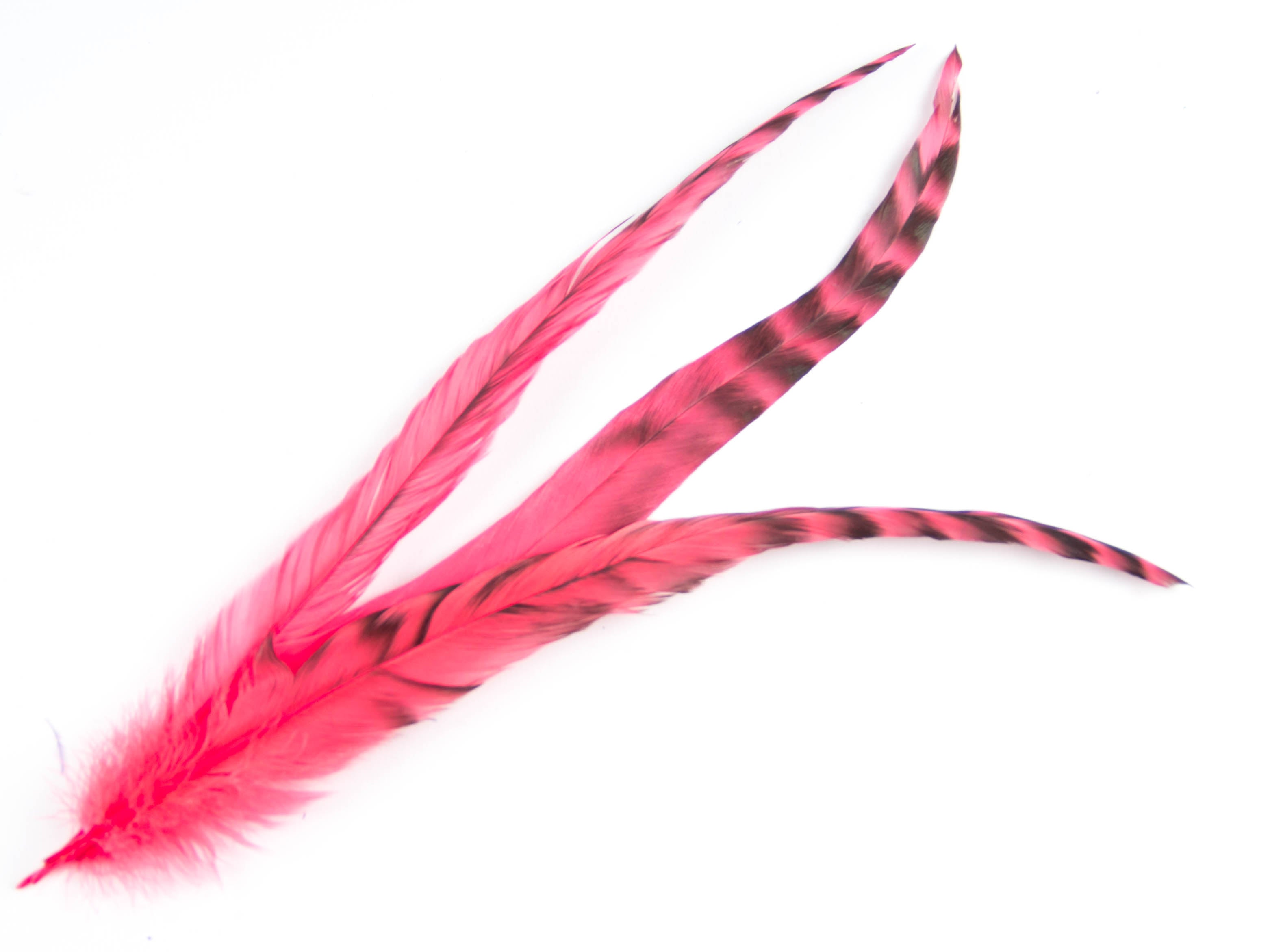 Long Chinchilla Coque Fringe - Dancewear colours