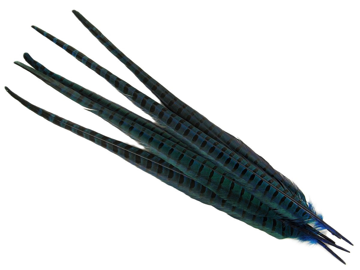 Ringneck Pheasant Centre Feather Dyed (Pack of 5)