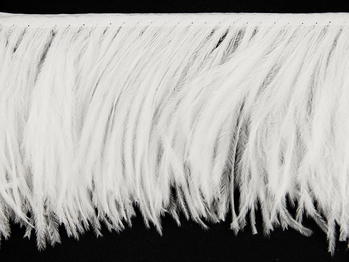 2 Ply Ostrich Feather Fringe 10 cm depth - Fashion Colours