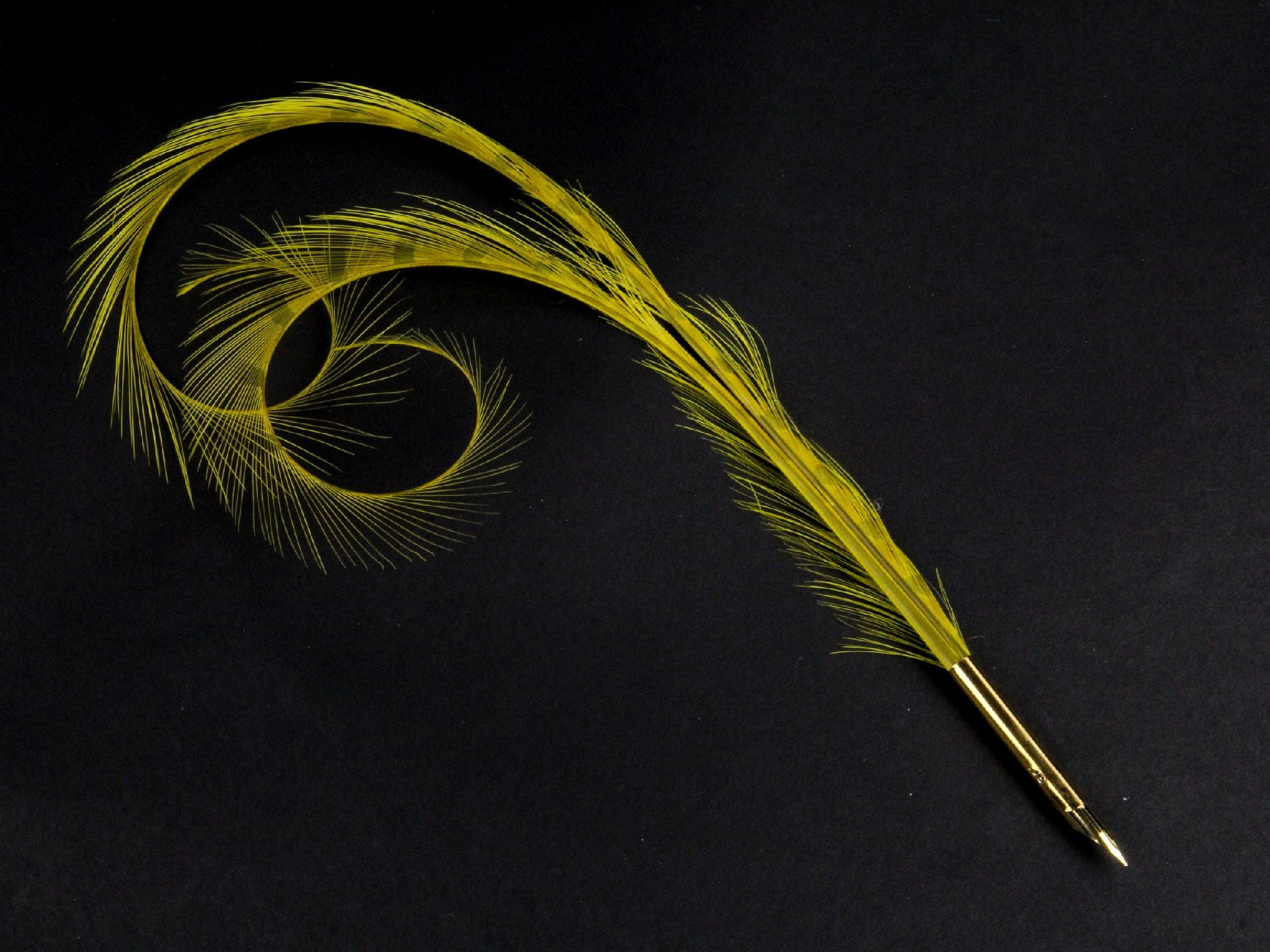 Curled and Burnt Pheasant Feather Pens