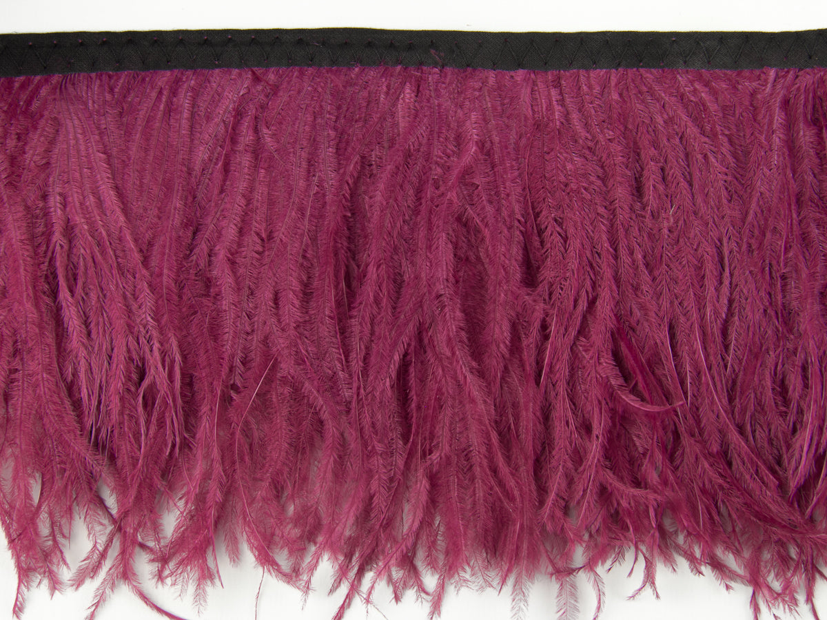 2 Ply Ostrich Feather Fringe 10 cm depth - Fashion Colours