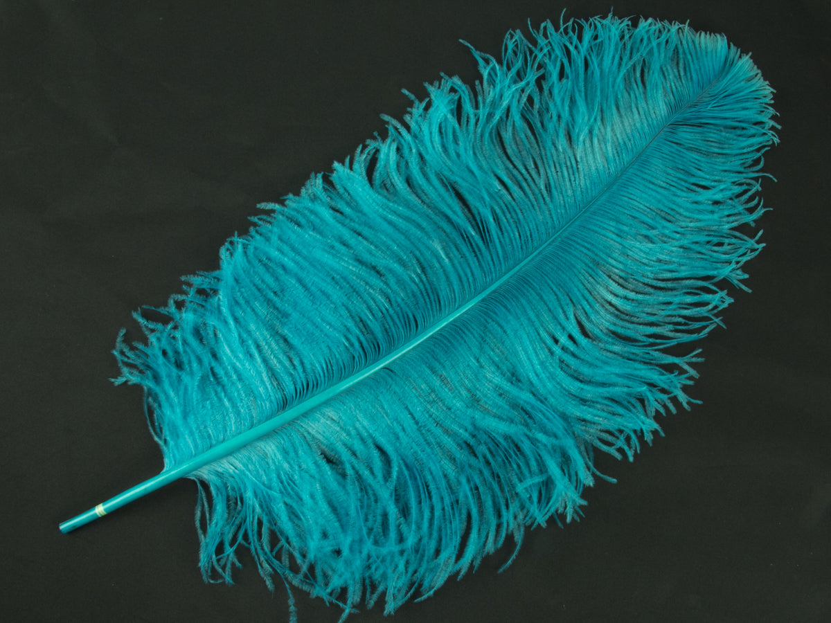 Ostrich Prime Wing Feather (50-65cm)