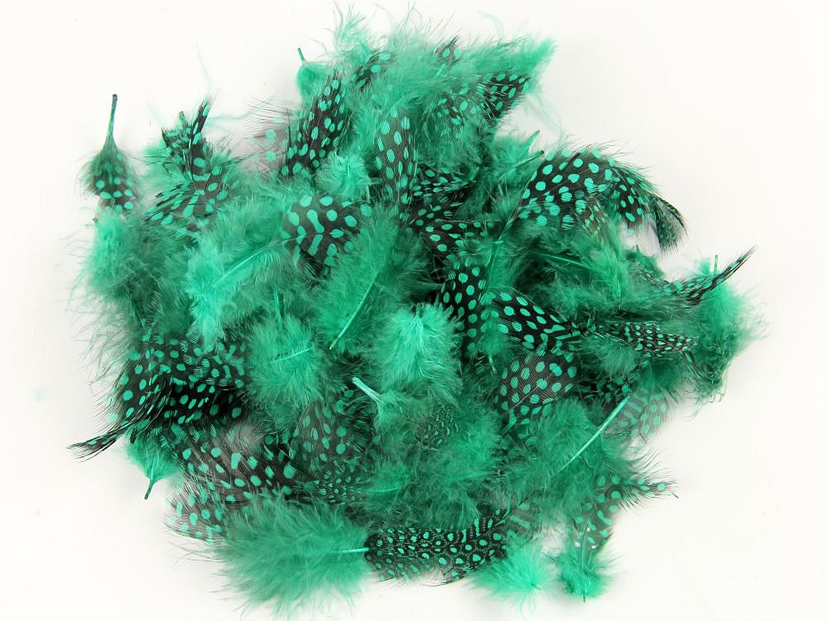 Guinea Fowl Fringe