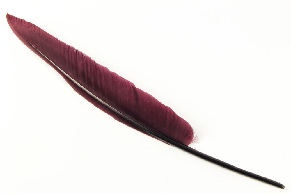Bulk Goose Quill Feather