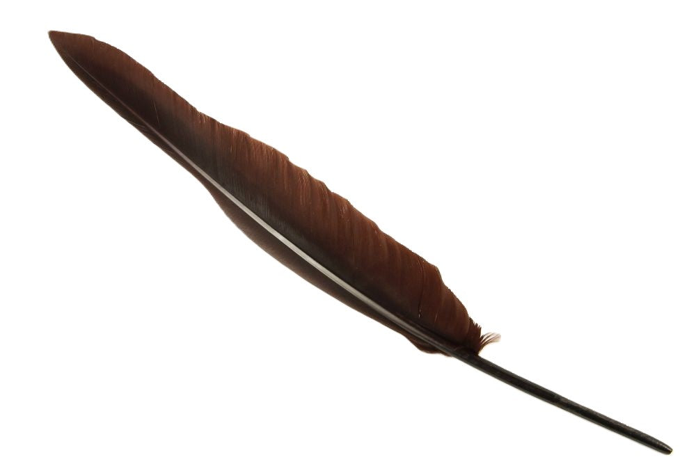 Authentic Goose Quill Pen