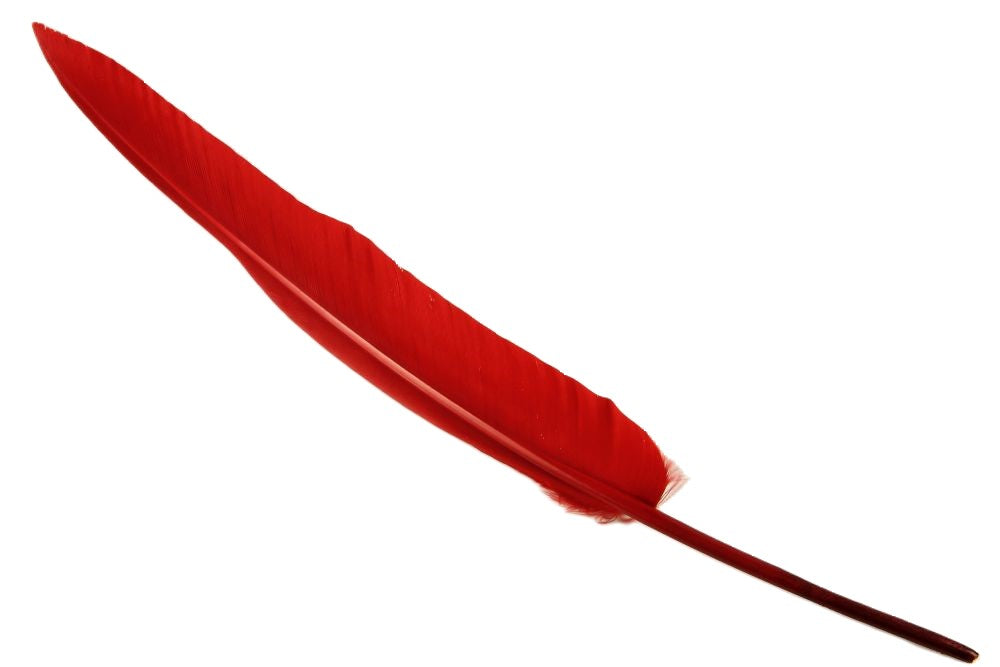 Goose Quill Feather Pens