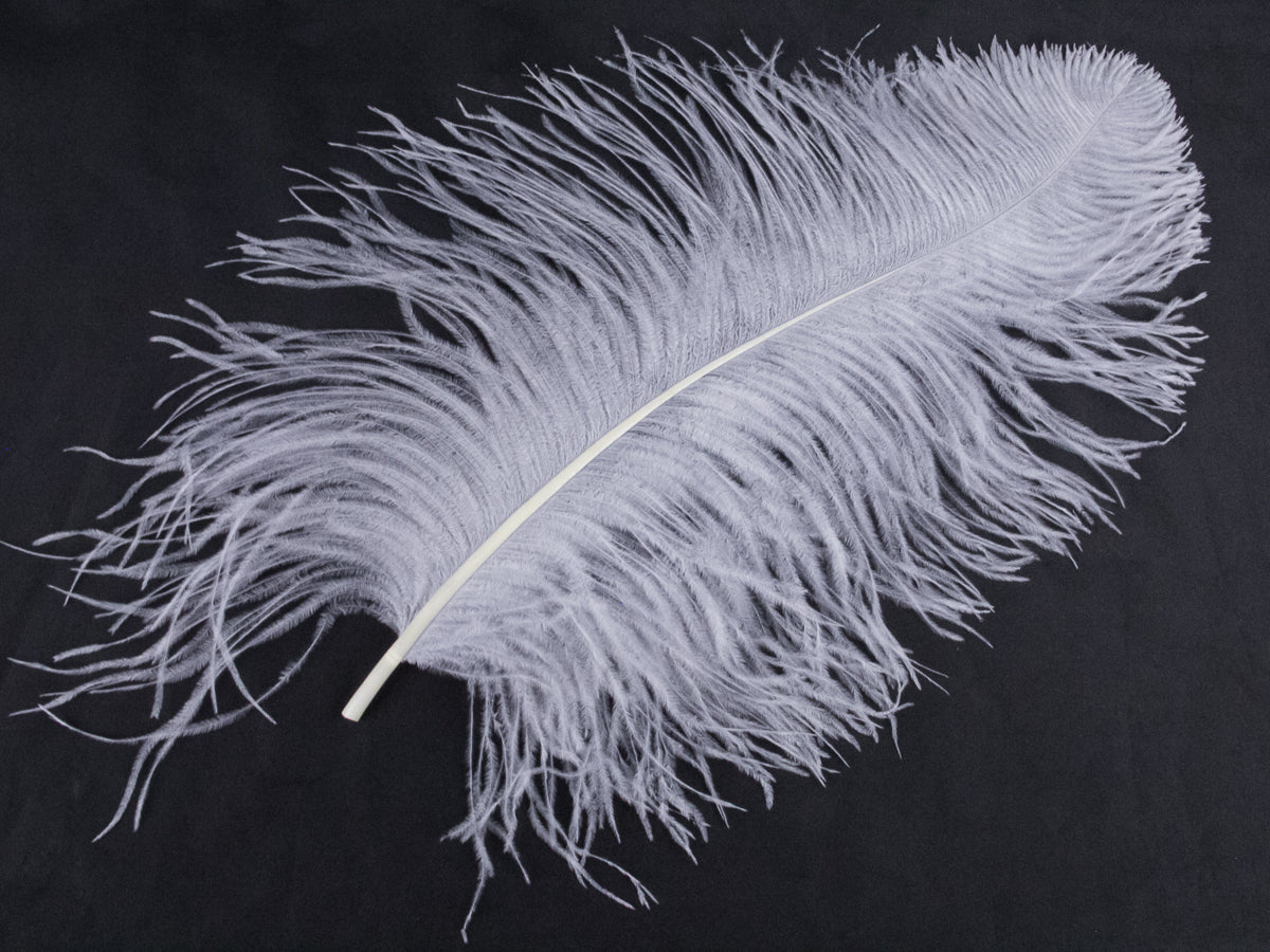 Ostrich Prime Wing Feather (50-65cm)