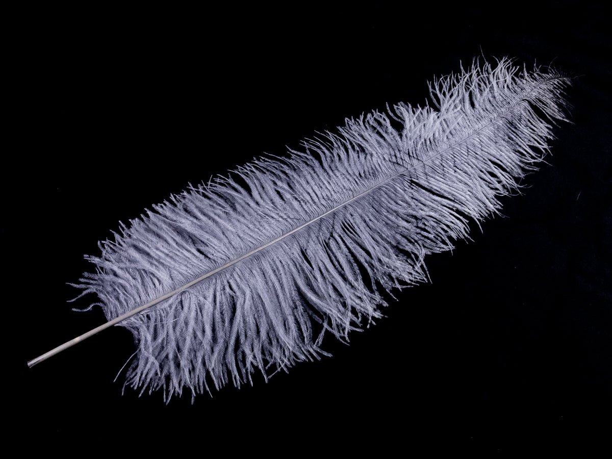 Ostrich Spadone Feather (50-65cm)