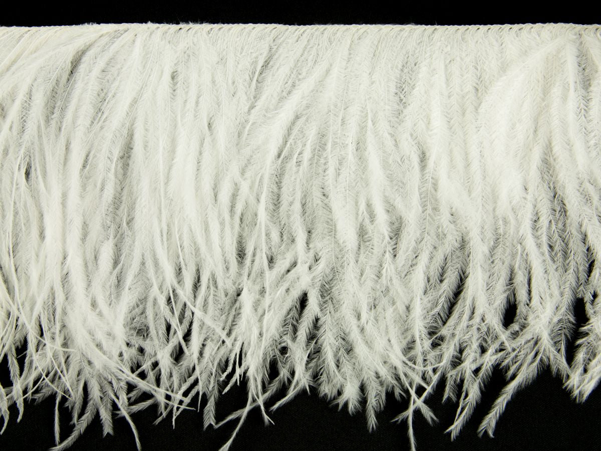 Ostrich Feather fringe with Lurex - Dancewear colours