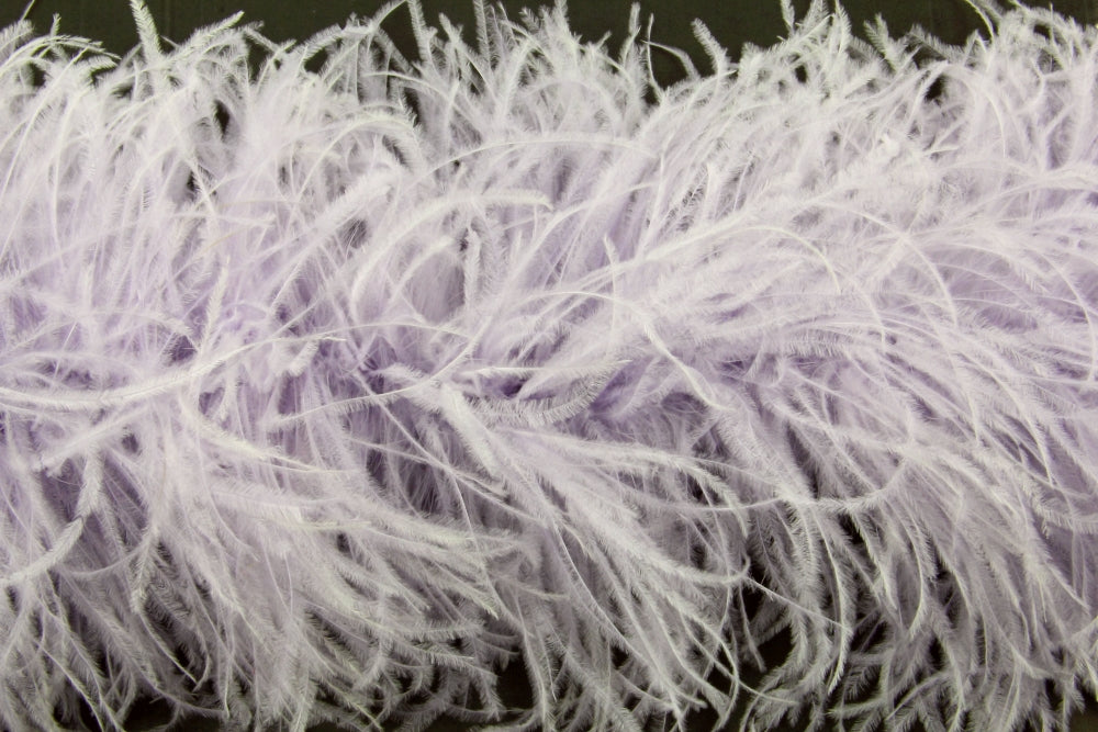 Ostrich Feather Boa with Stripped Coque - Fashion Colours