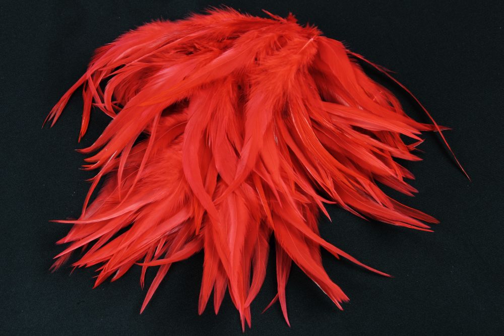 Hackle Feathers (30g Pack)