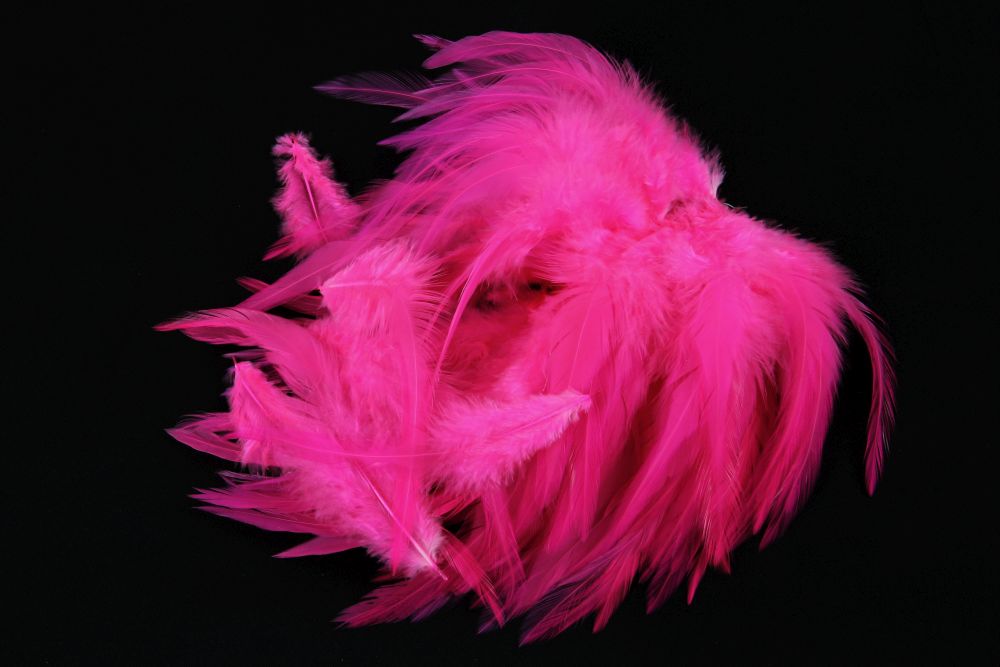 Hackle Feathers (30g Pack)