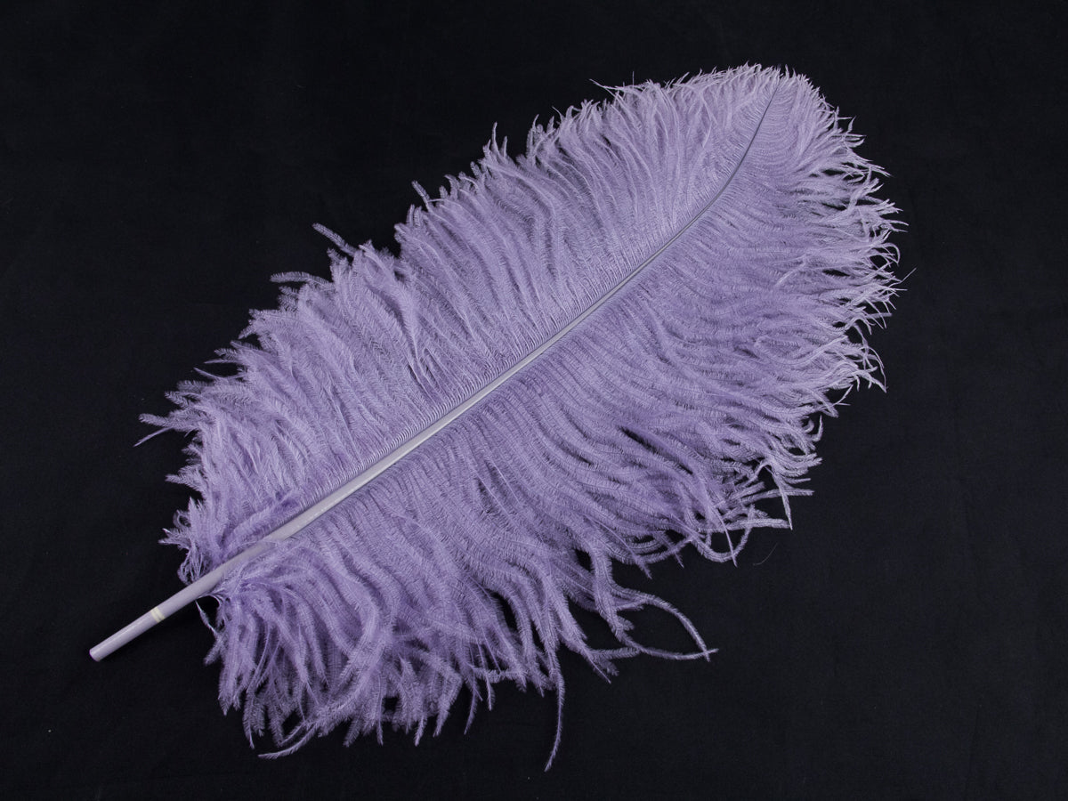 Ostrich Prime Wing Feather (50-65cm)