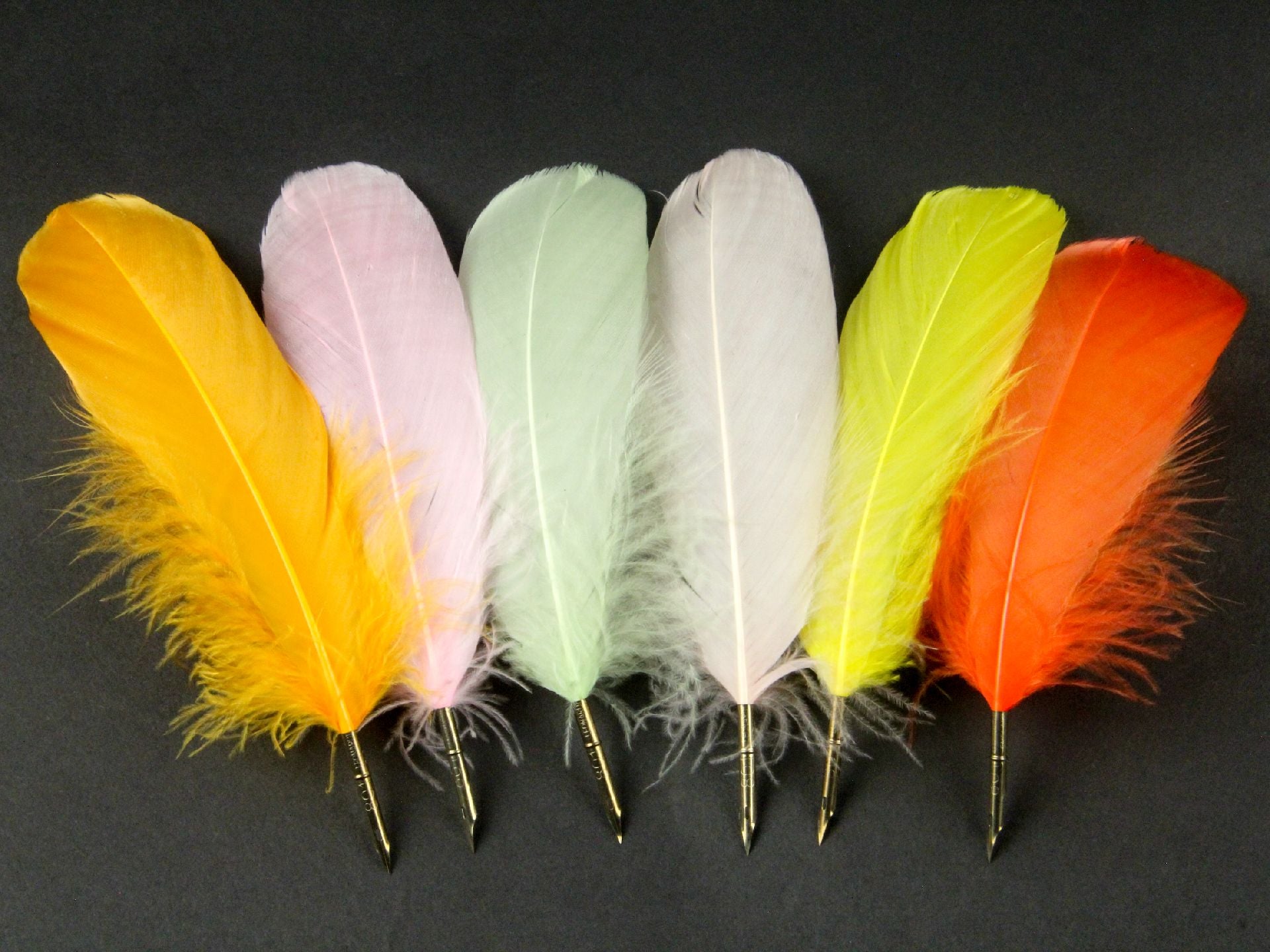 Goose Nagoire Quill Pen (Pack of 10)