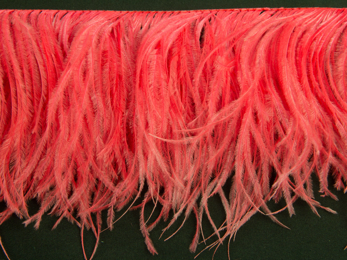 Ostrich Feather fringe with Lurex - Dancewear colours