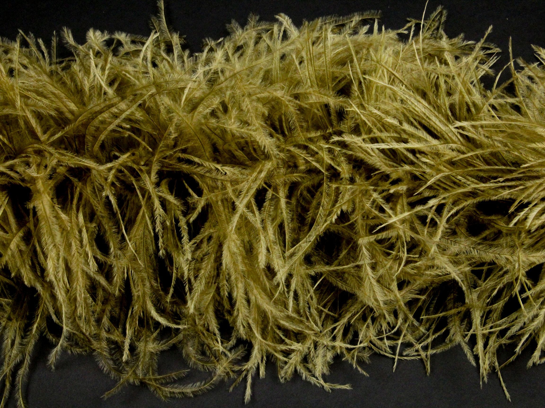 Ostrich Feather Boa with Stripped Coque - Fashion Colours