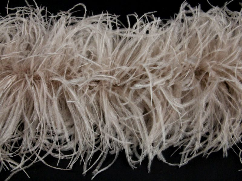 Ostrich Feather Boa with Stripped Coque - Fashion Colours