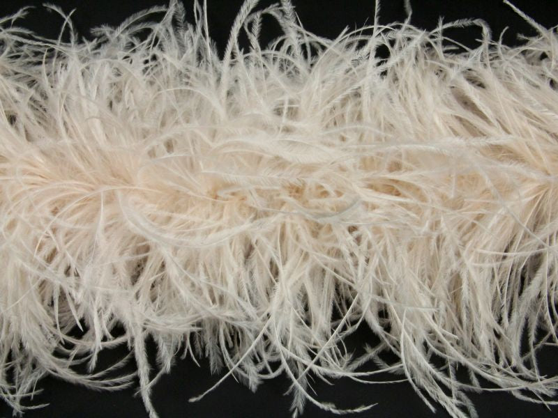 Ostrich Feather Boa with Stripped Coque - Fashion Colours