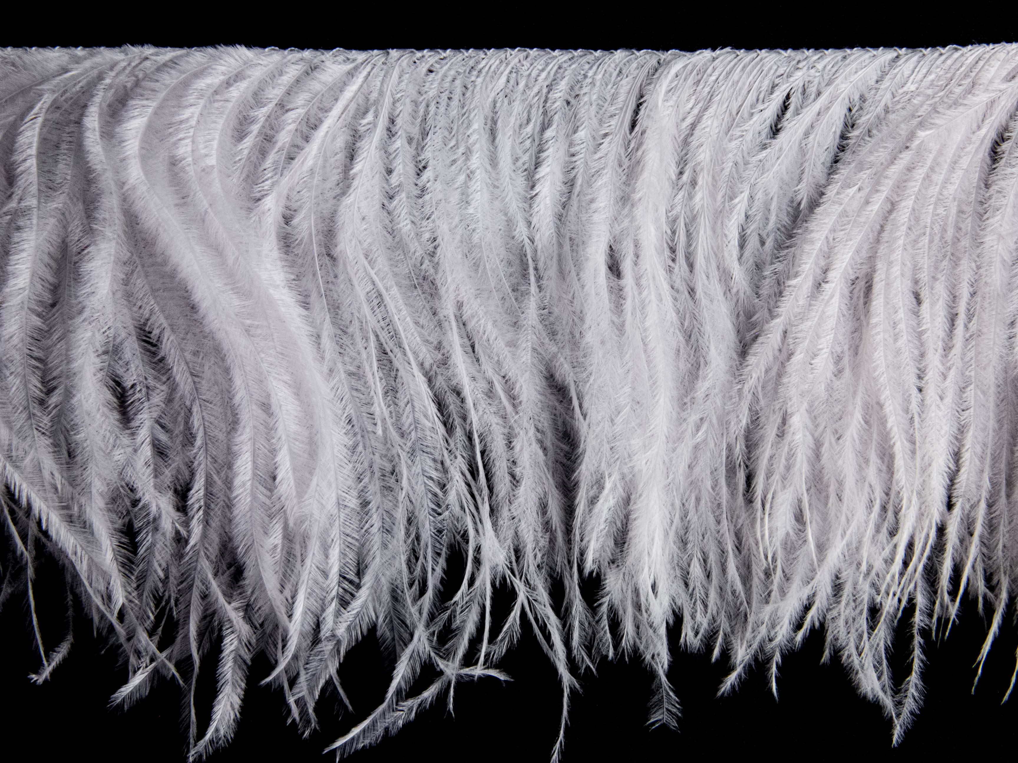 2 Ply Ostrich Feather Fringe (10cm depth) - Dancewear Colours