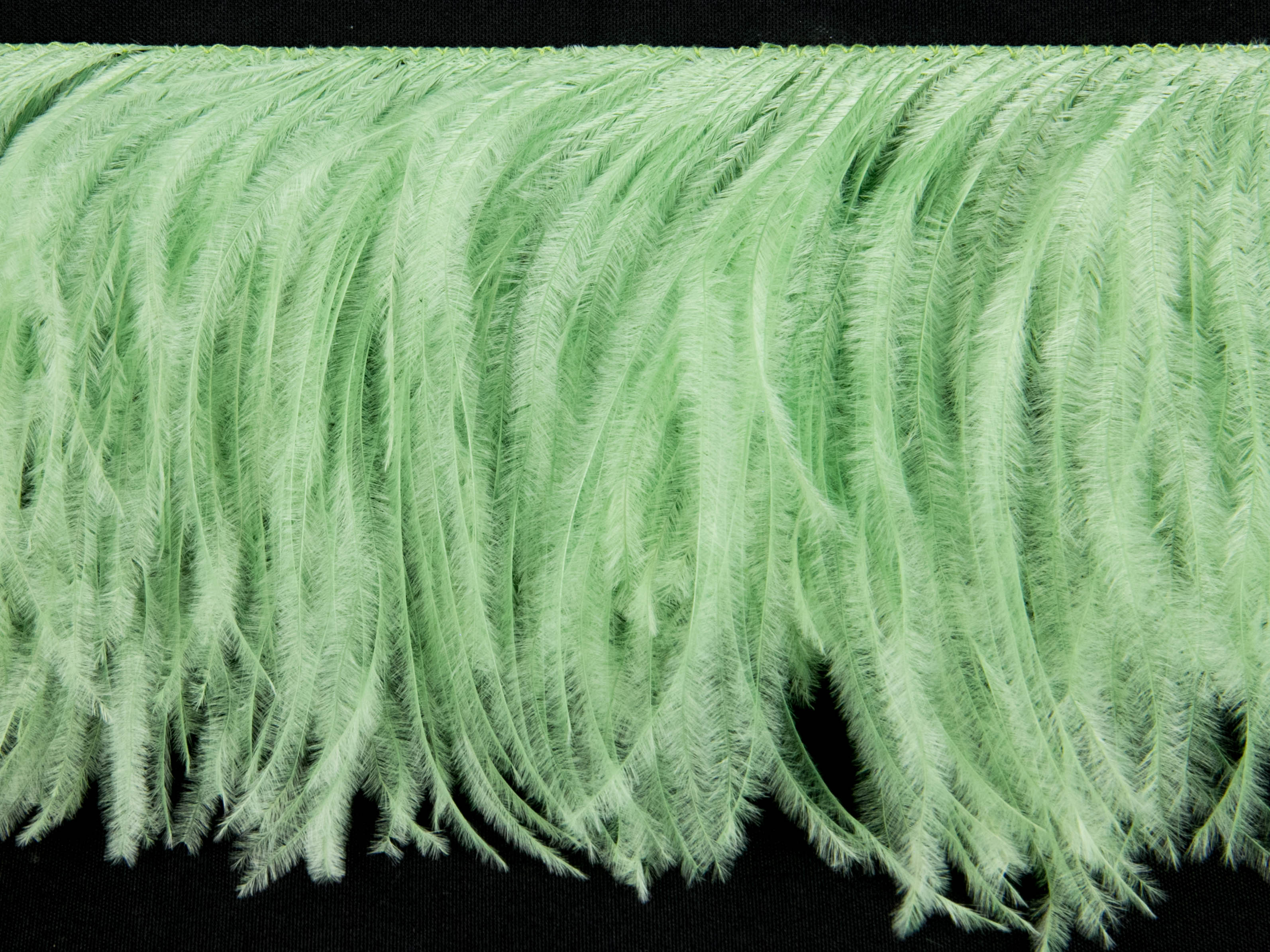 2 Ply Ostrich Fringe (13-15cm depth) - Fashion Colours