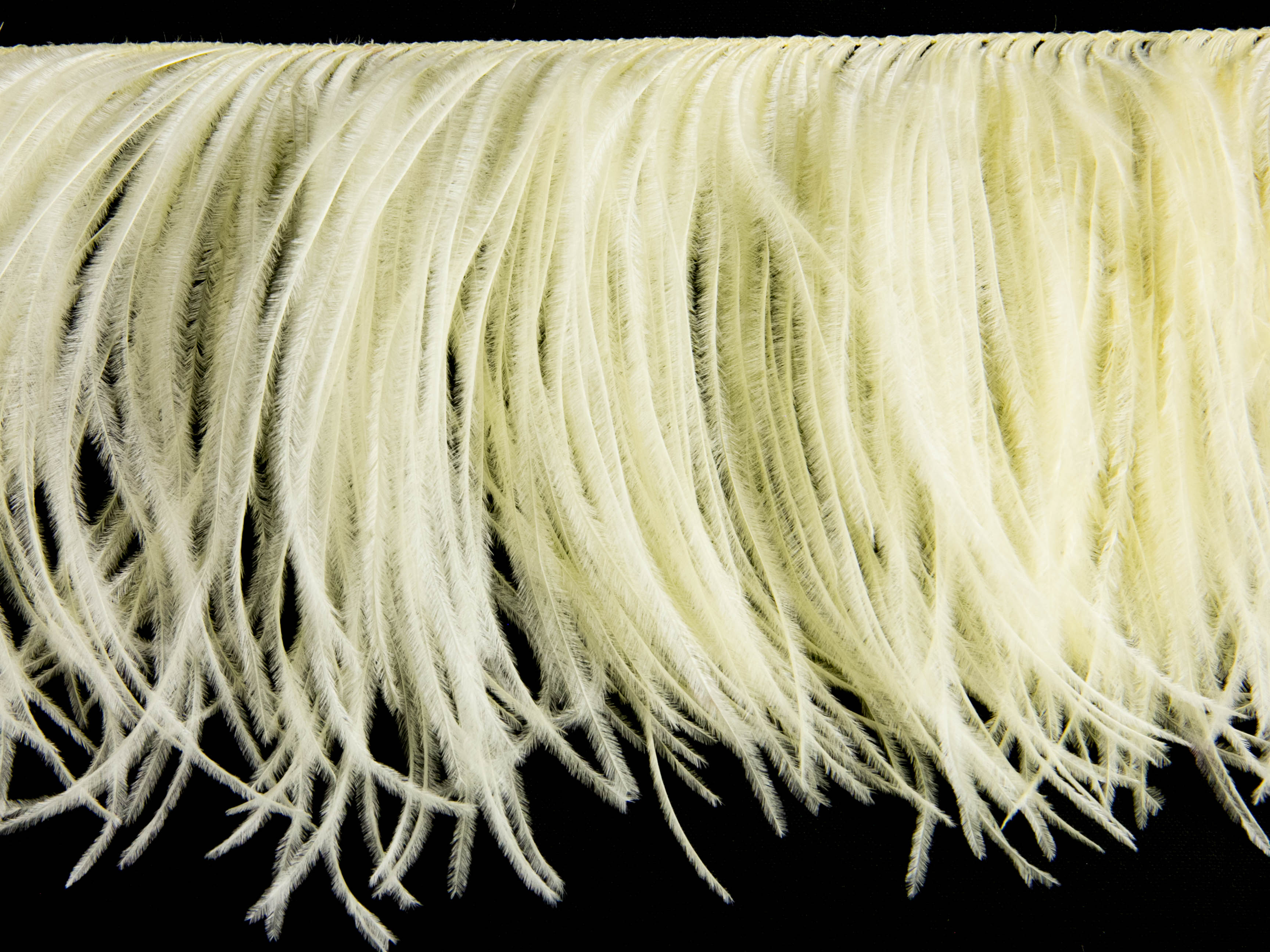 Ostrich Feather fringe with Lurex - Dancewear colours