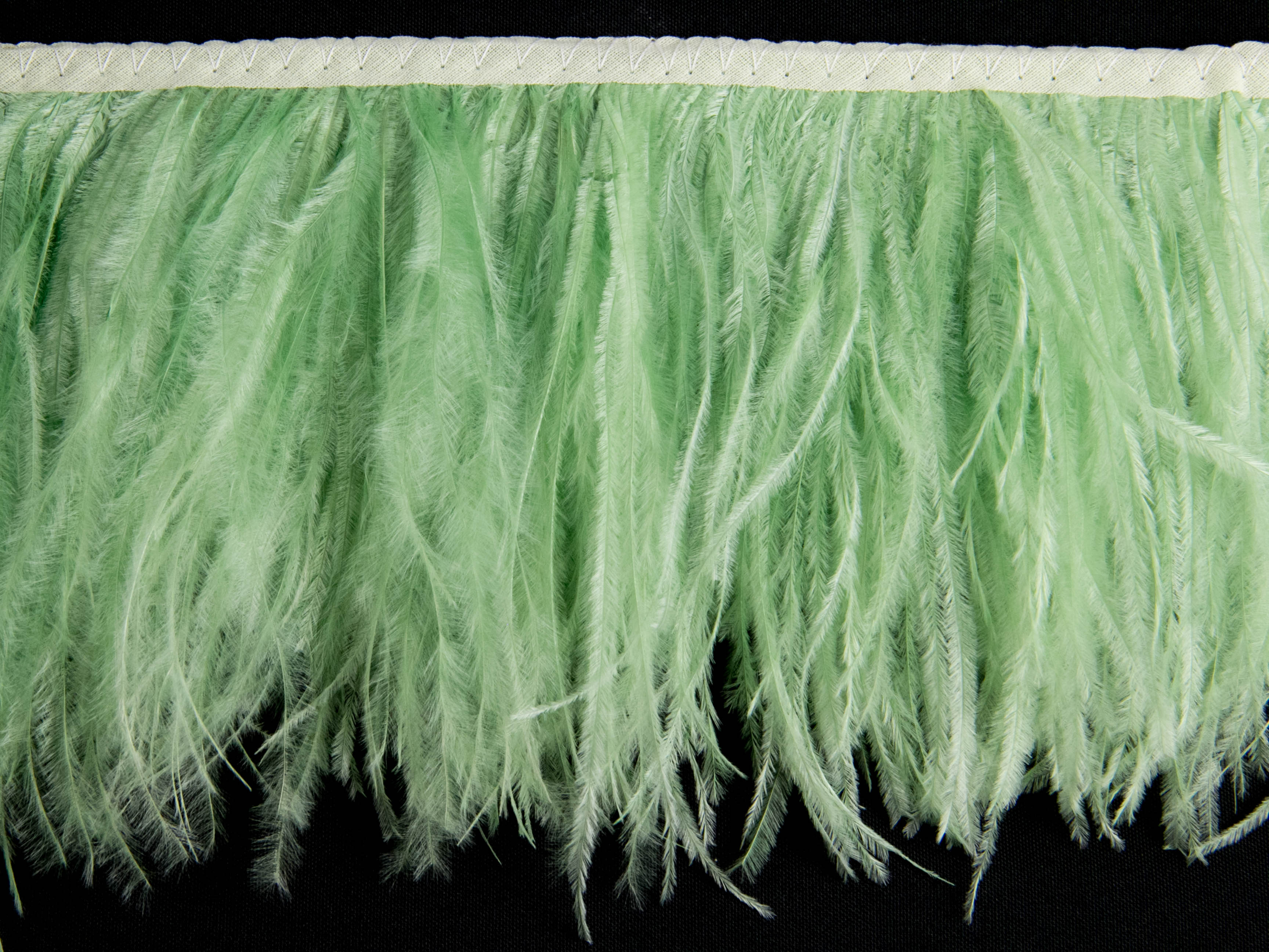 2 Ply Ostrich Feather Fringe 10 cm depth - Fashion Colours