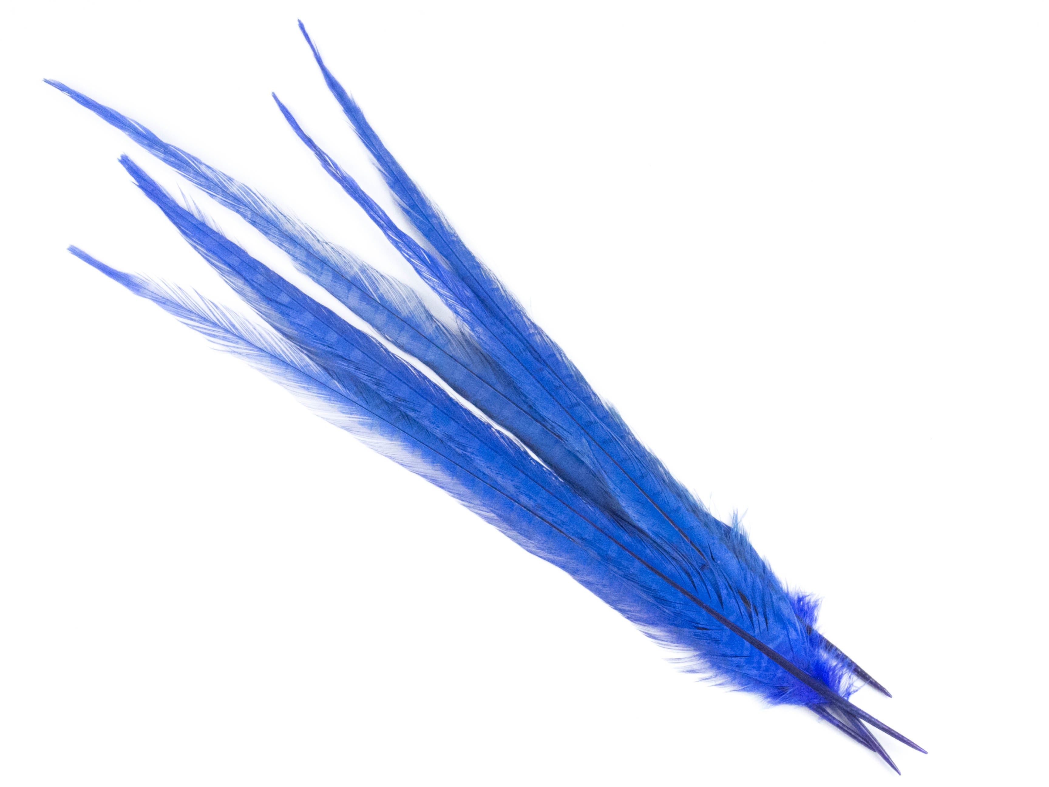 Ringneck Pheasant Centre Feather Dyed (Pack of 5)