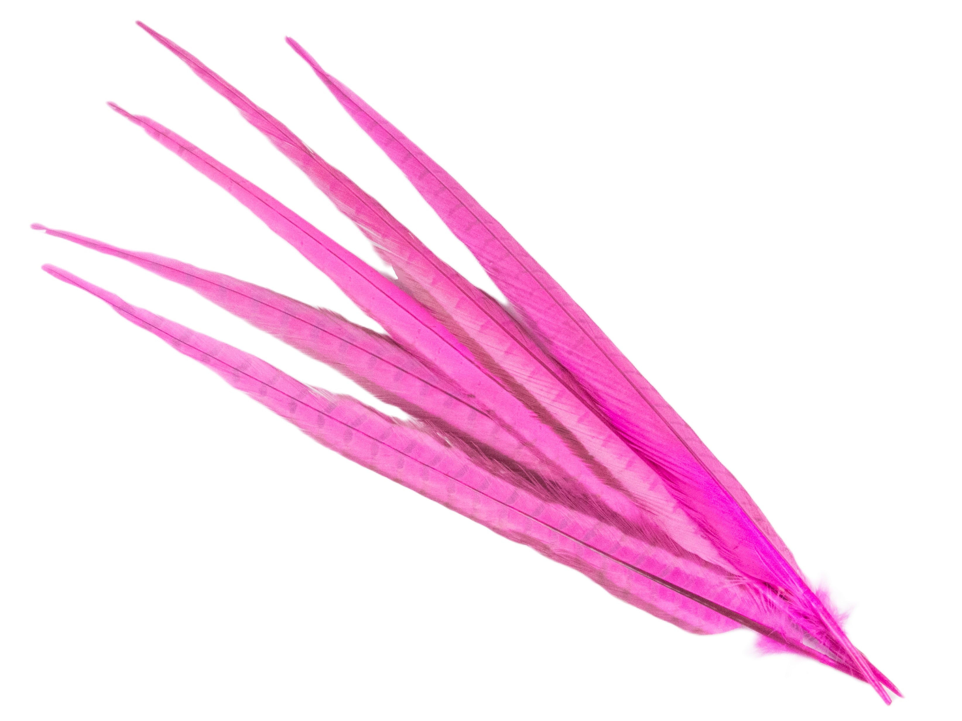 Ringneck Pheasant Centre Feather Dyed (Pack of 5)