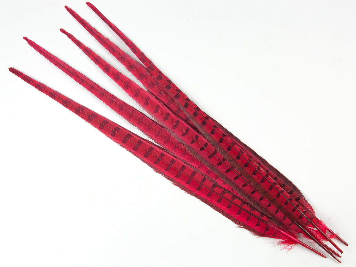 Ringneck Pheasant Centre Feather Dyed (Pack of 5)