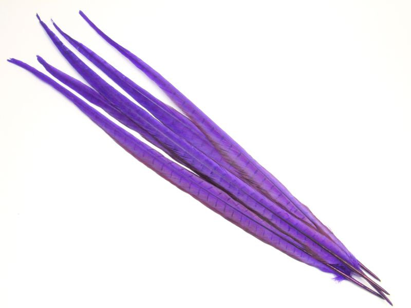 Ringneck Pheasant Centre Feather Dyed (Pack of 5)