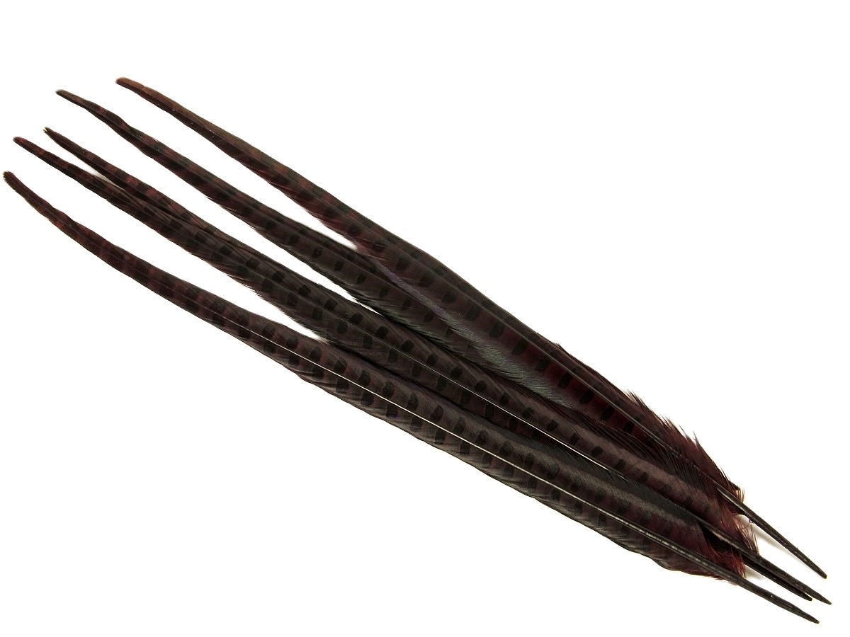 Ringneck Pheasant Centre Feather Dyed (Pack of 5)