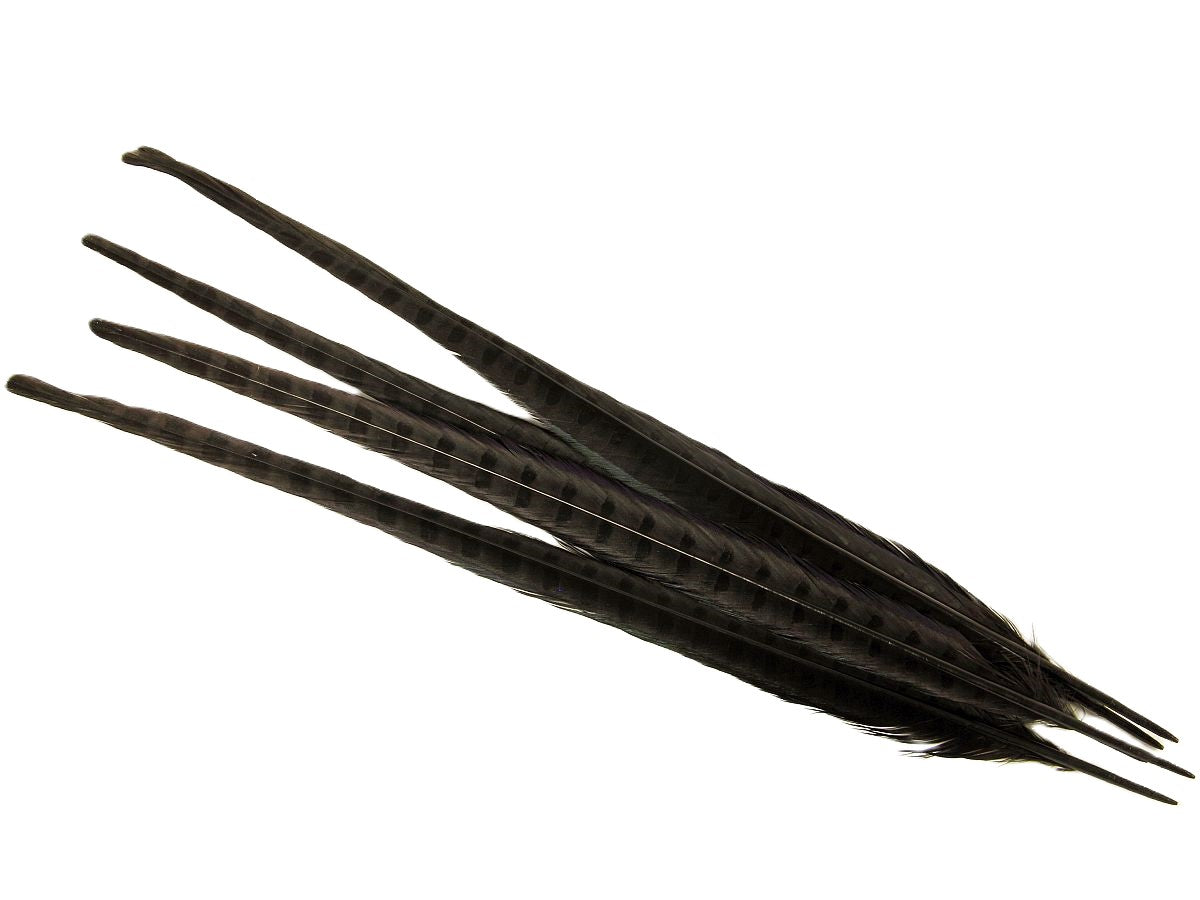 Ringneck Pheasant Centre Feather Dyed (Pack of 5)
