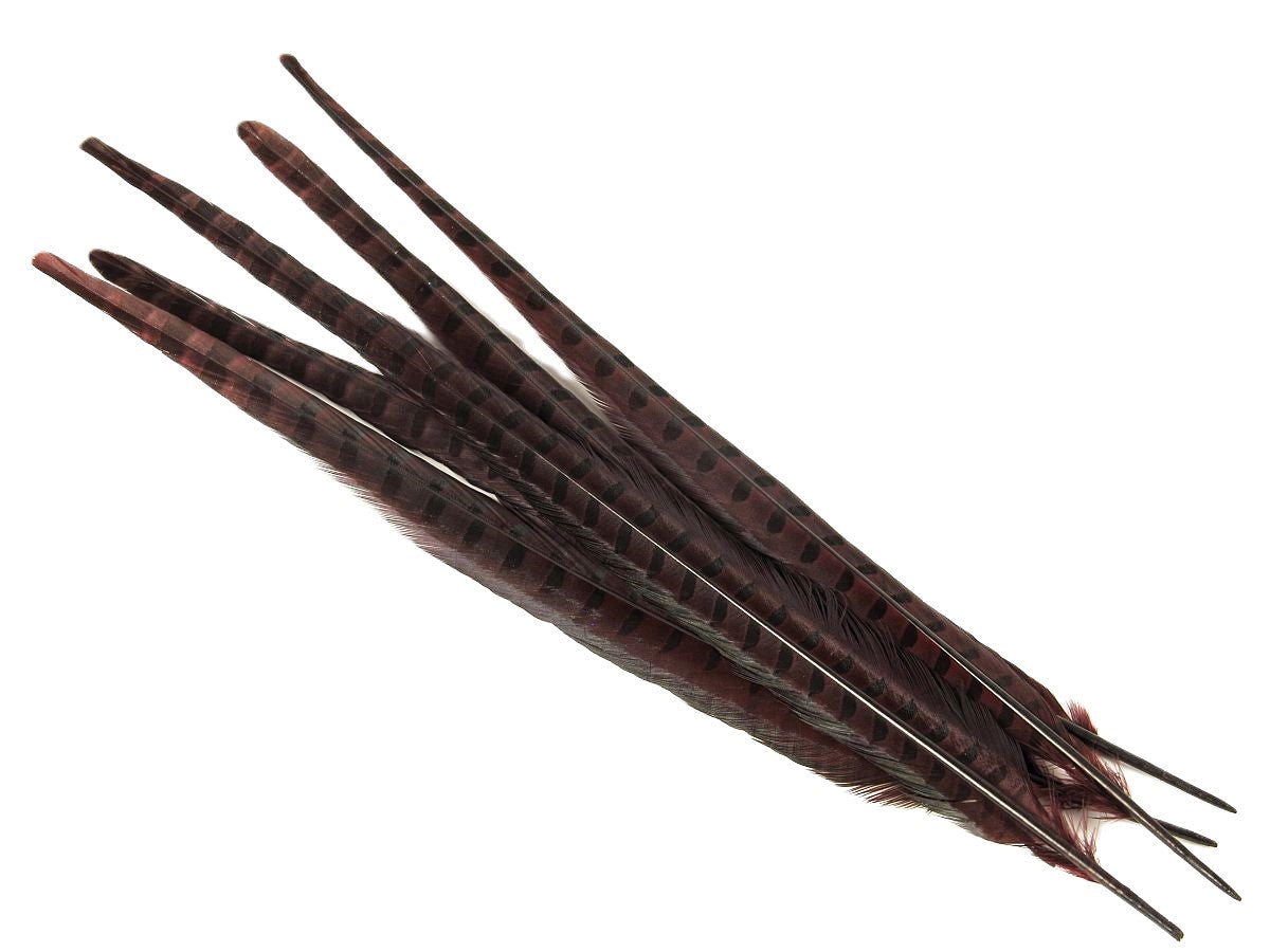 Ringneck Pheasant Centre Feather Dyed (Pack of 5)