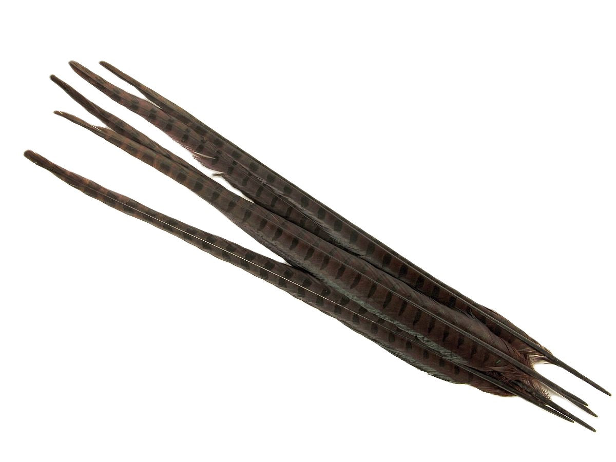 Ringneck Pheasant Centre Feather Dyed (Pack of 5)