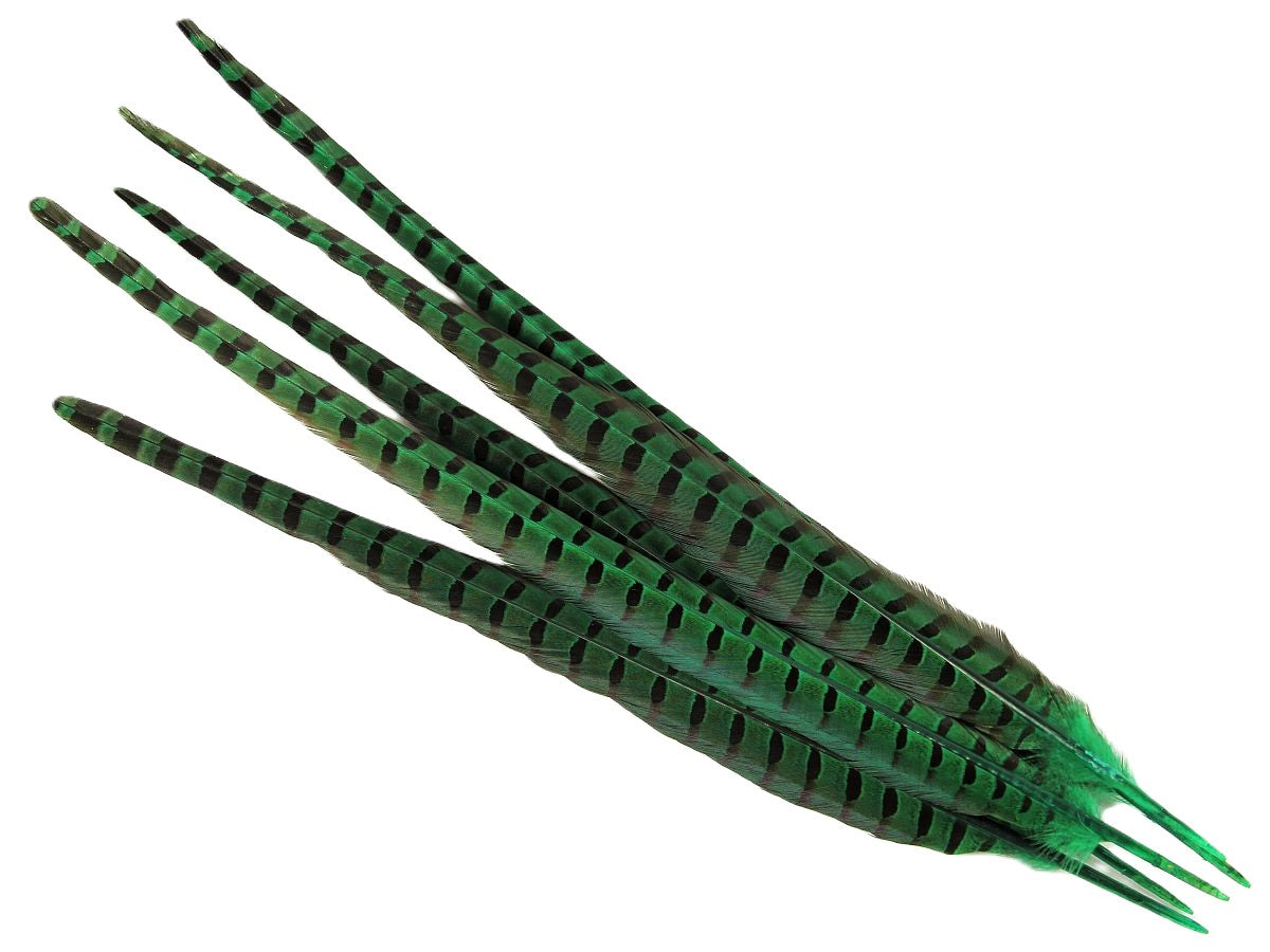 Ringneck Pheasant Centre Feather Dyed (Pack of 5)