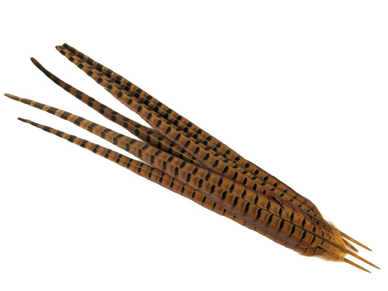Ringneck Pheasant Centre Feather Dyed (Pack of 5)