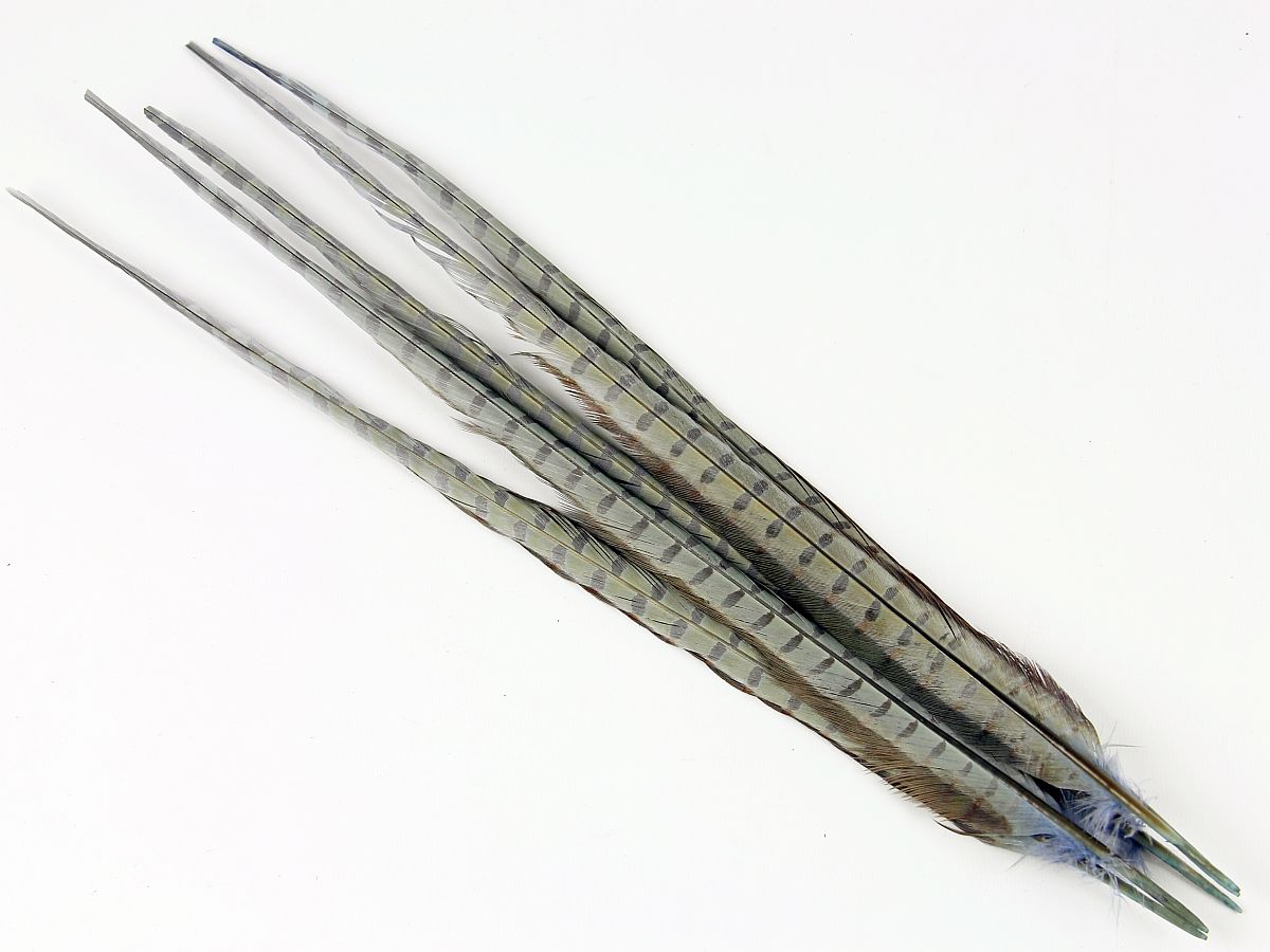 Ringneck Pheasant Centre Feather Dyed (Pack of 5)