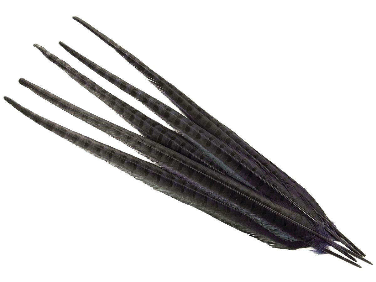 Ringneck Pheasant Centre Feather Dyed (Pack of 5)