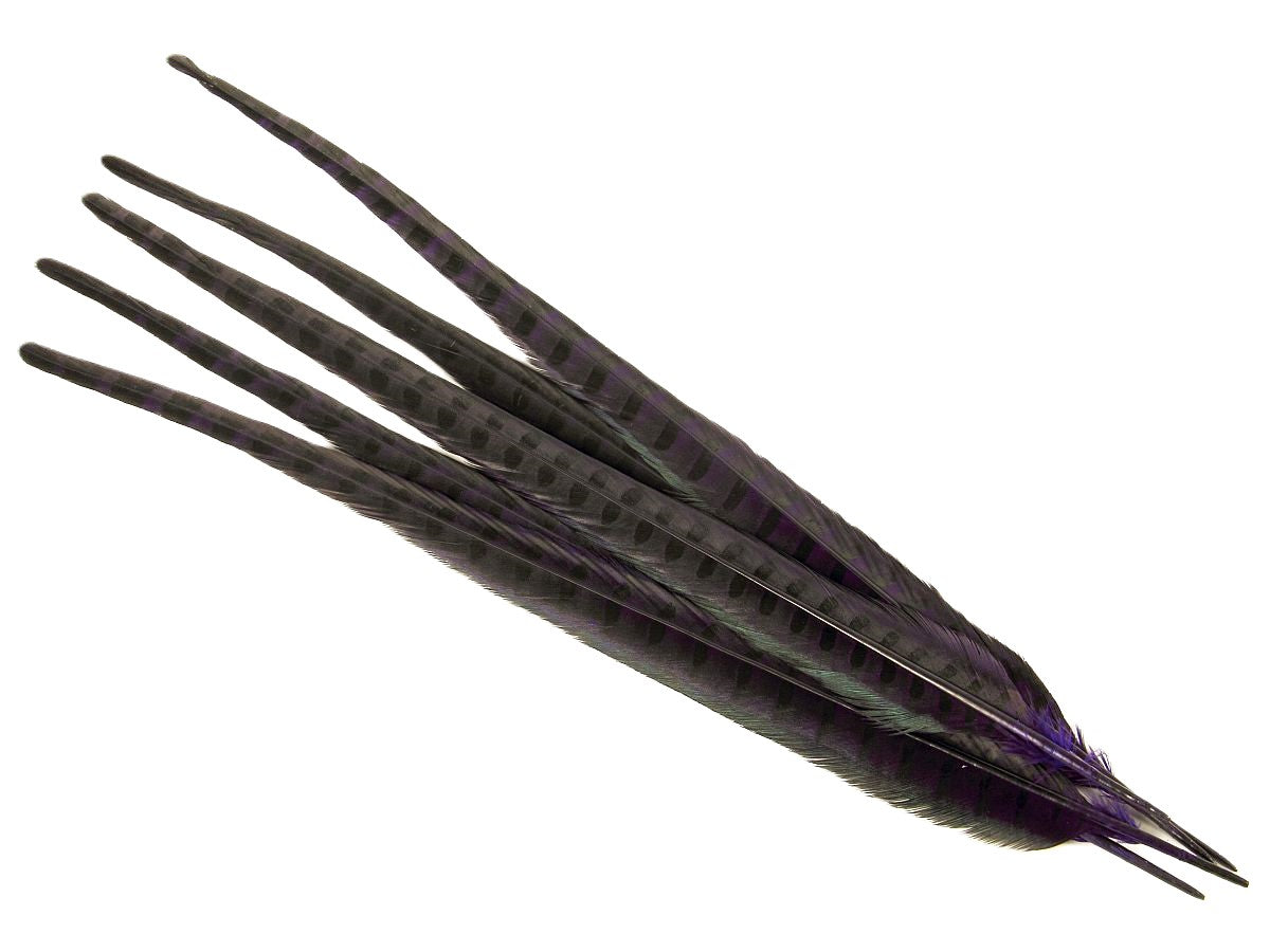 Ringneck Pheasant Centre Feather Dyed (Pack of 5)