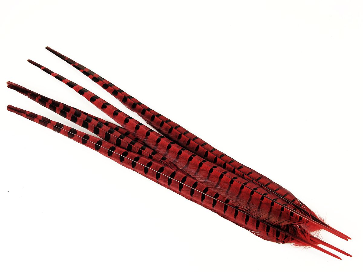 Ringneck Pheasant Centre Feather Dyed (Pack of 5)