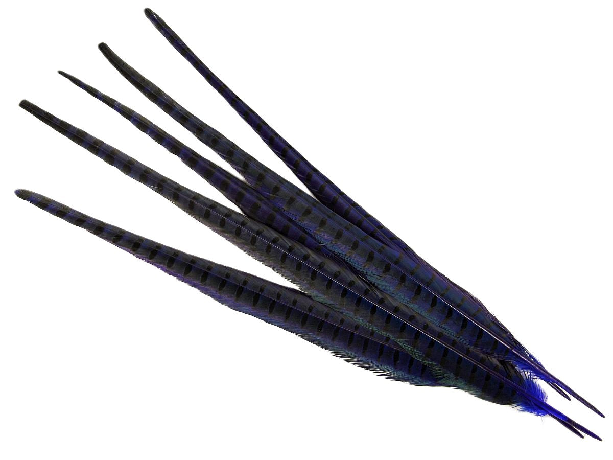 Ringneck Pheasant Centre Feather Dyed (Pack of 5)