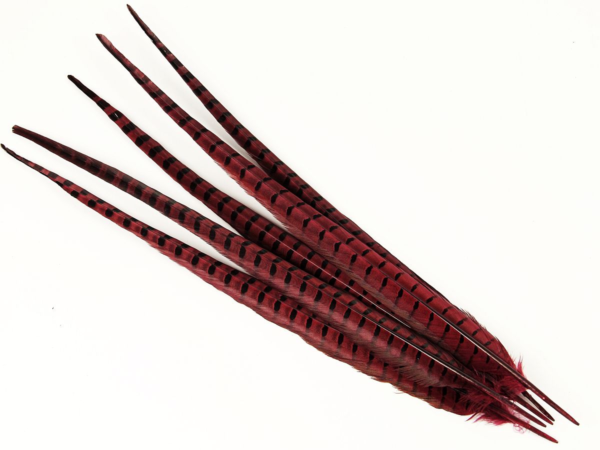 Ringneck Pheasant Centre Feather Dyed (Pack of 5)