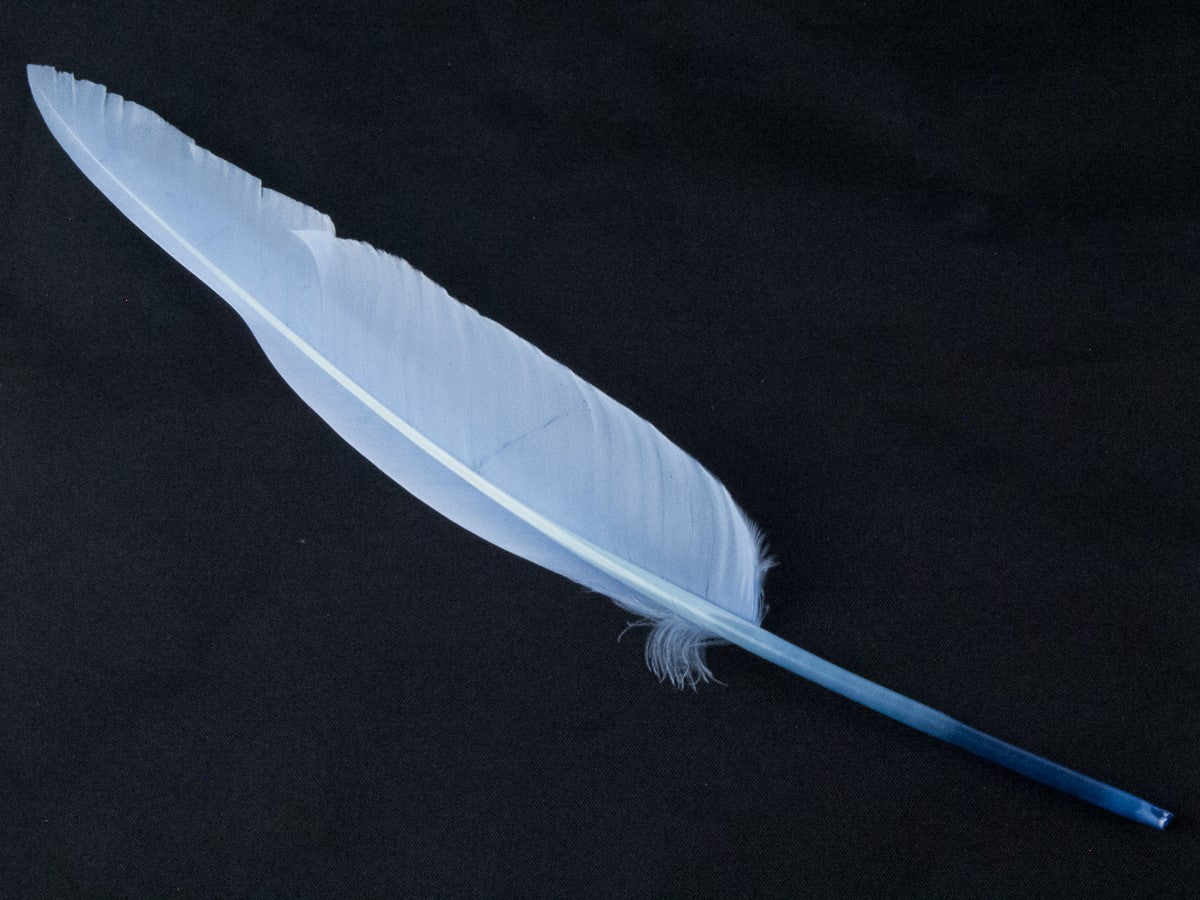 Goose Quill Feather Pens