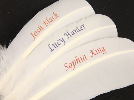 Colour Printed Promotional Turkey Pens - Hand Cut (Pack of 25)