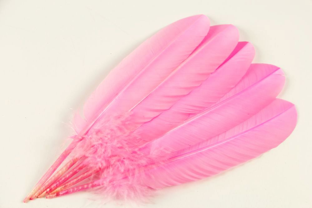 Turkey Quill Feather Pens - Deluxe finishes (Pack of 10)