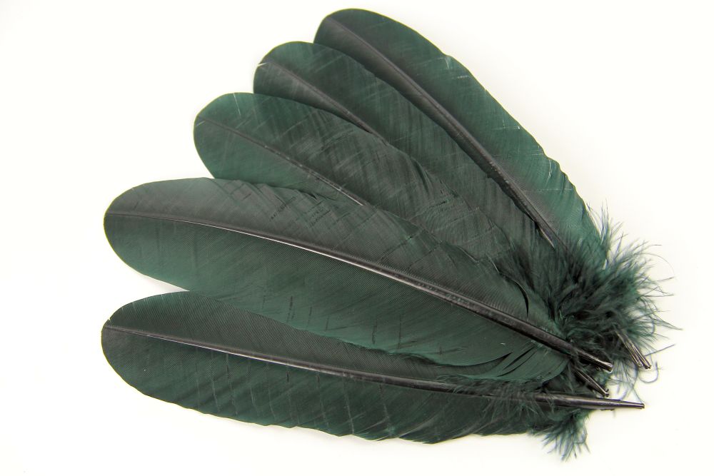 Turkey Quill Feather Pens - Deluxe finishes (Pack of 10)