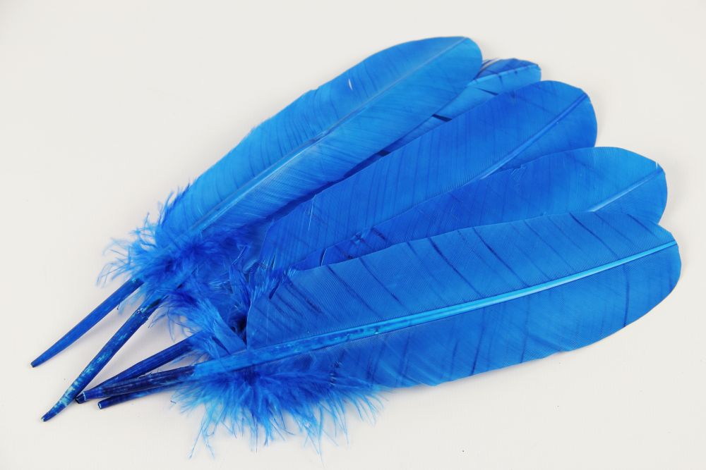 Turkey Quill Feather Pens - Deluxe finishes (Pack of 10)