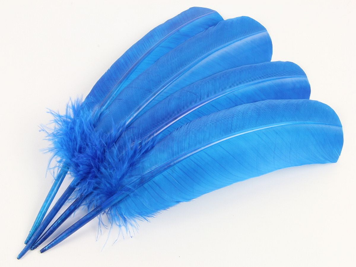 Turkey Quill Feather Pens - Deluxe finishes (Pack of 10)