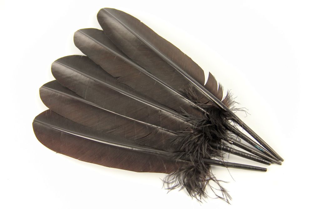 Turkey Quill Feather Pens - Deluxe finishes (Pack of 10)